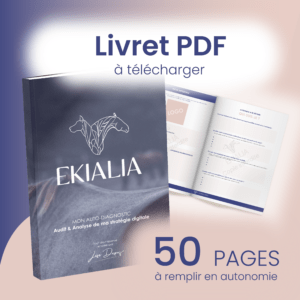 Auto-audit de communication — Autonome