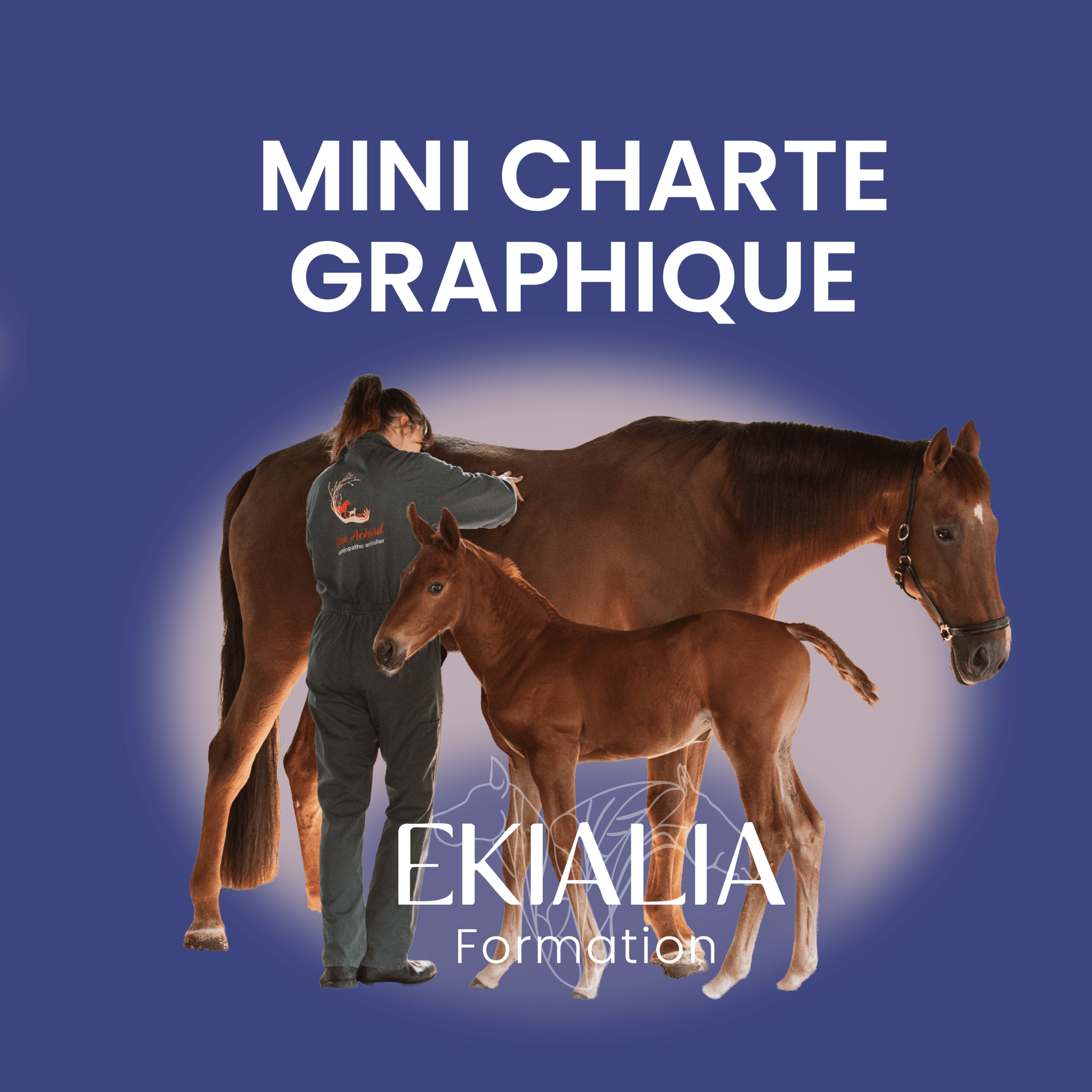 Formation : Mini charte graphique