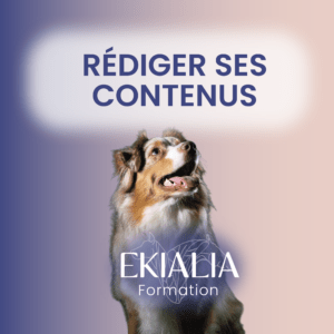 Formation — Rédiger ses contenus professionnels